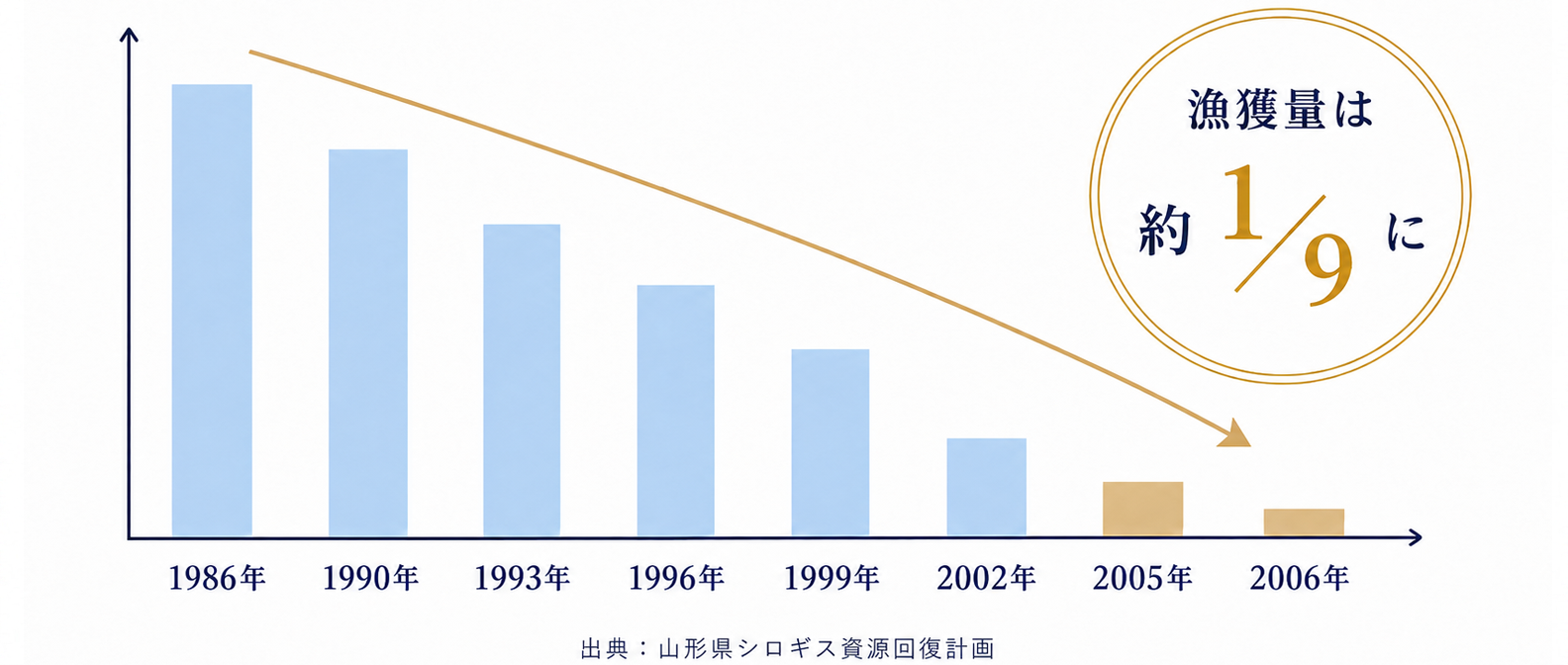 天然シロギス漁獲量の推移