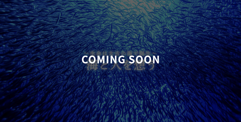 COMING SOON