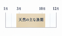 天然シーズンはおおよそ3月〜10月